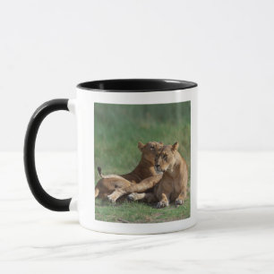 Taza León 5