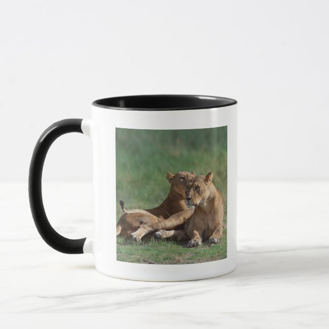 Taza León 5 (Izquierda)