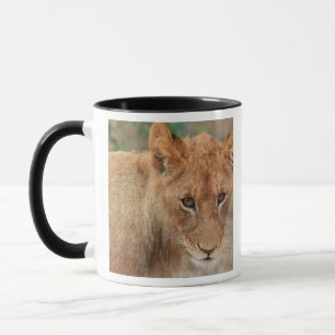 Taza León Cub