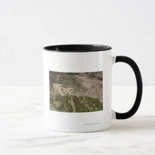 Taza León Cubs que mira a escondidas sobre roca