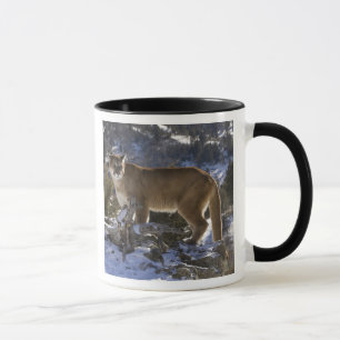 Taza León de montaña