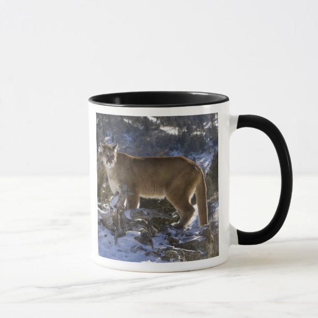 Taza León de montaña (Derecha)