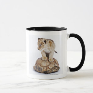Taza León del bebé que se coloca en la tortuga, fondo