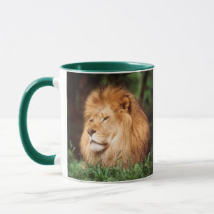 Taza León macho adulto