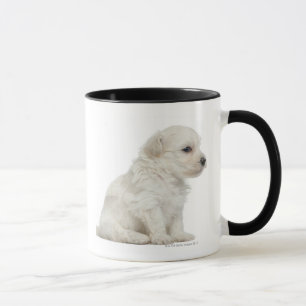 Taza León pequeno de chien o pequeño perrito del perr