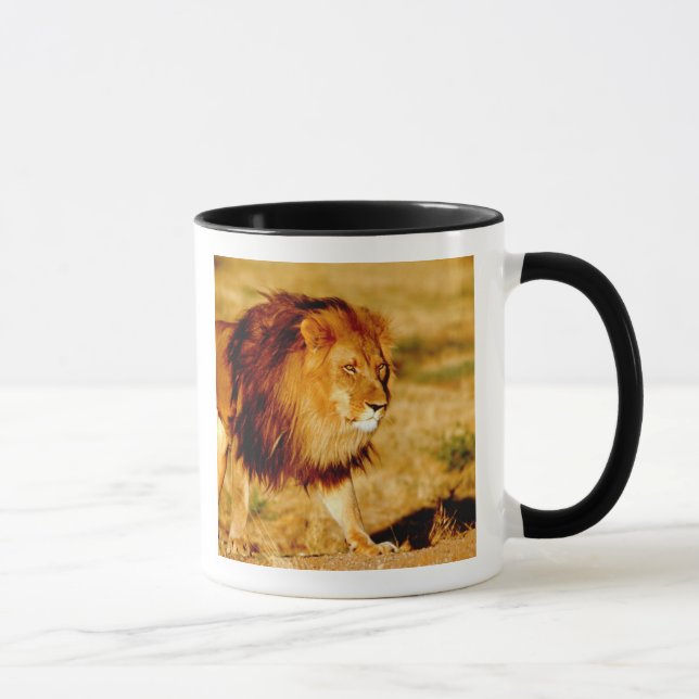 Taza León solitario (Derecha)