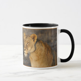Taza León surafricano