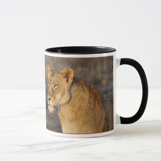 Taza León surafricano (Derecha)
