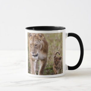 Taza Leona hembra con cachorro