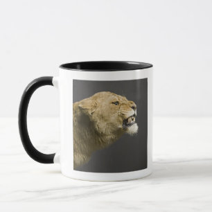 Taza Leona que ruge 2