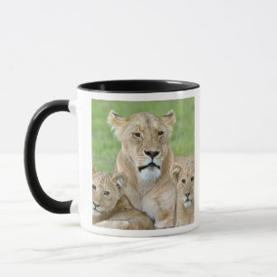Taza Leona y dos cachorros, África Oriental, Tanzania,