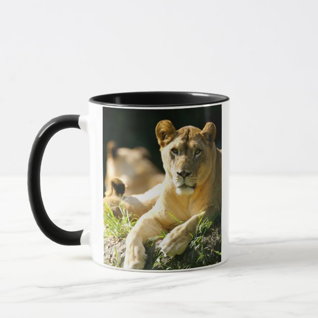 Taza Leones (Izquierda)