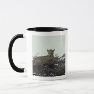 Taza Leopardo africano