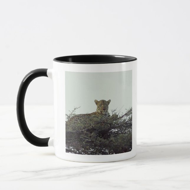 Taza Leopardo africano (Izquierda)