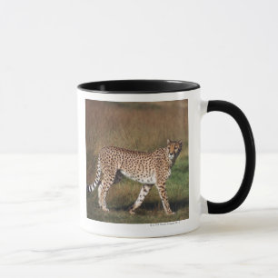 Taza Leopardo en llano