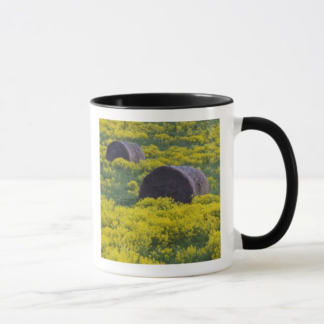 Taza Letonia, Letonia nororiental, región de Vidzeme, (Derecha)