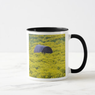 Taza Letonia, Letonia nororiental, región de Vidzeme, 2