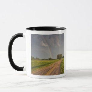 Taza Letonia, Letonia nororiental, Región de Vidzeme, 4