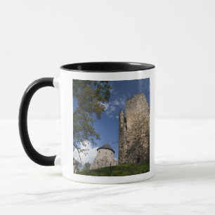 Taza Letonia, Noreste de Letonia, Región de Vidzeme,