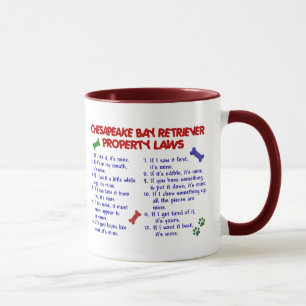 Taza Leyes 2 de la propiedad del PERRO PERDIGUERO de