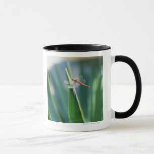 Taza Libélula