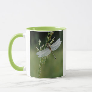Taza Libélula Darner cubierta de rocío