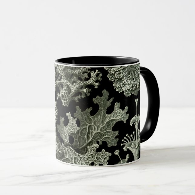 Taza Lichen de Ernst Haeckel, Vintage Nature Plants (Anverso derecho)