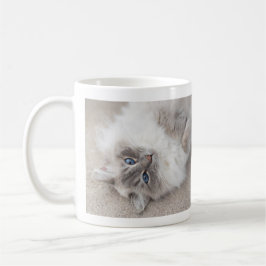 Taza linda del gato de Ragdoll