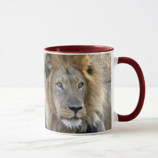 Taza Lion Mugs