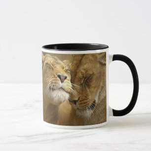 Taza Lion Mugs