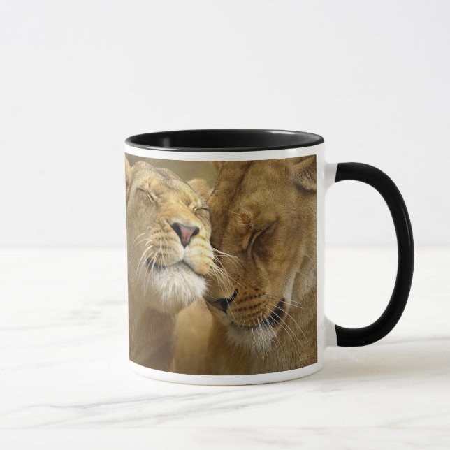 Taza Lion Mugs (Derecha)