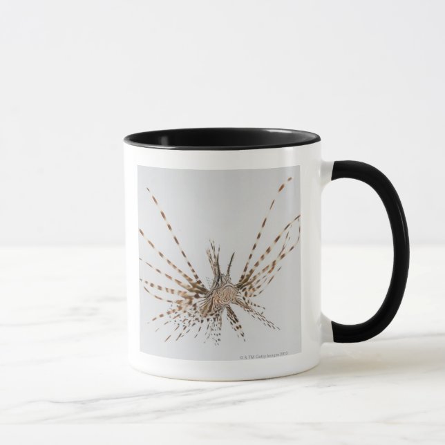 Taza Lionfish rojo (volitans del Pterois) (Derecha)