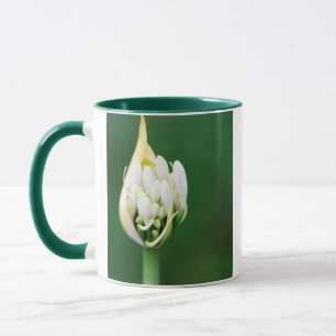 Taza Lirio Africano, Agapanthus Praecox, Ciudad del Cab
