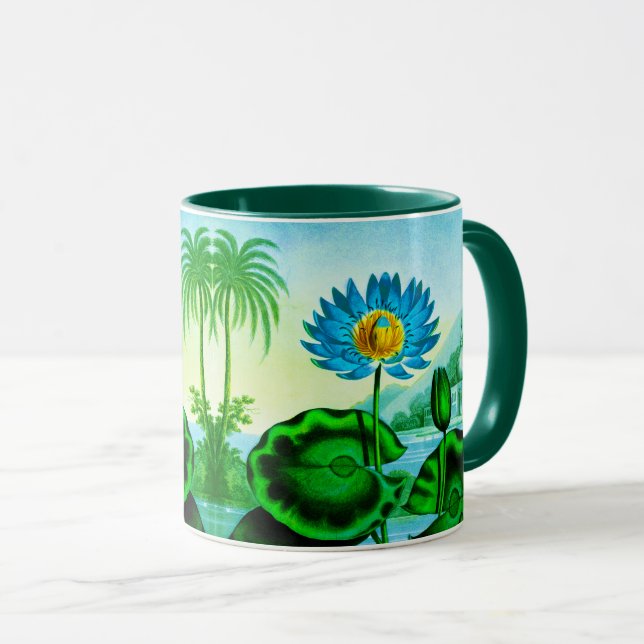 Taza Lirio de agua azul egipcio / Ilustracion Lotus (Anverso derecho)