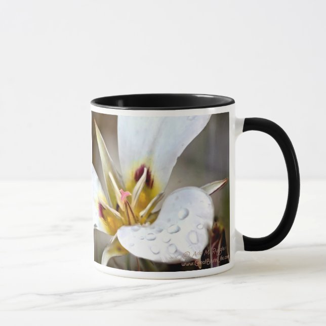 Taza Lirio de Sego (Derecha)