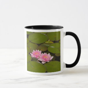 Taza Lirios de agua en flor