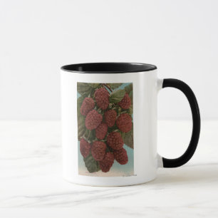 Taza Litografía de Chromo de la fruta de