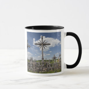 Taza Lituania Central, Lituania, Siauliai, colina 7