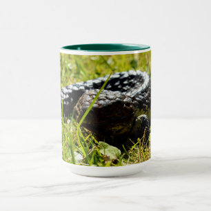 Taza Lizard De Hingleback En El Hierro, Café Mug