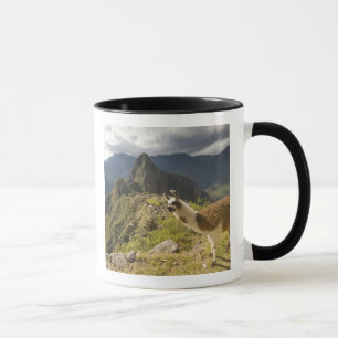 Taza Llamas y una vista general de Machu Picchu,
