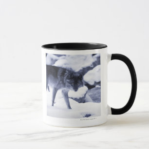 Taza Lobo