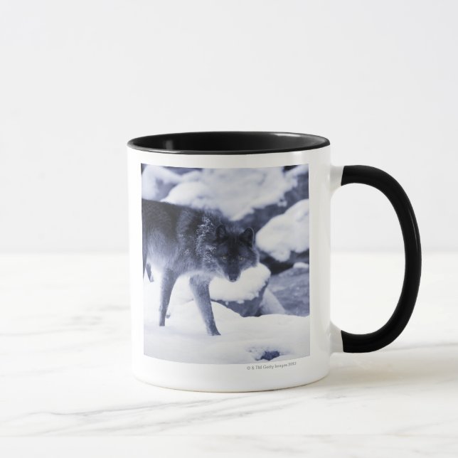Taza Lobo (Derecha)