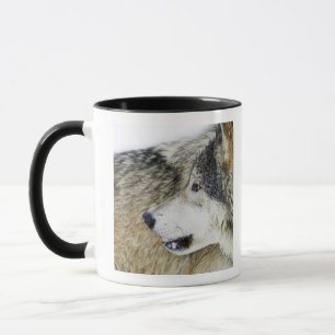 Taza Lobo