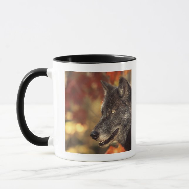 Taza Lobo 2 (Izquierda)