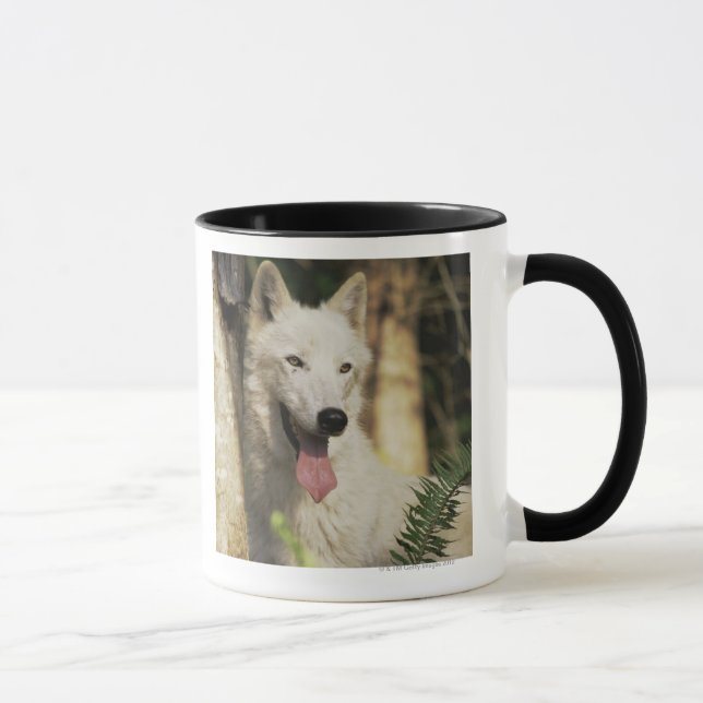 Taza Lobo ártico en bosque (Derecha)