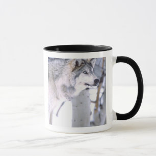 Taza Lobo de la madera, Canis lupus, película Animal Ut