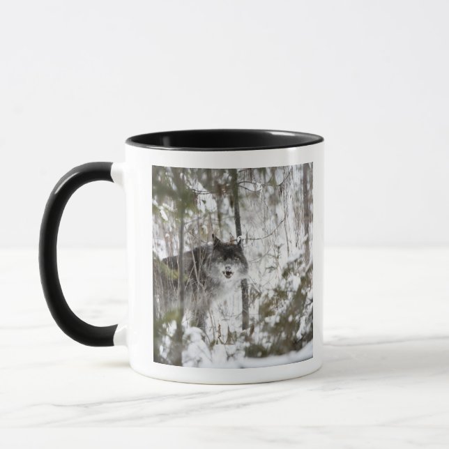 Taza Lobo en el bosque en invierno (Izquierda)