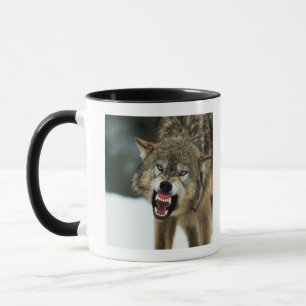 Taza Lobo gris del gruñido