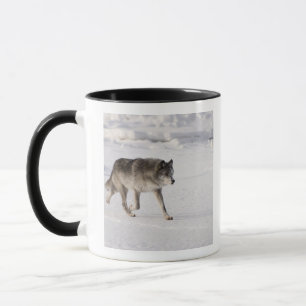 Taza Lobo que corre en la nieve
