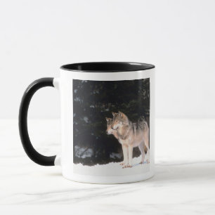 Taza Lobos grises
